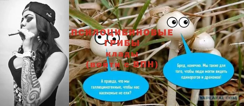 KRAKEN tor  Родники  Псилоцибиновые грибы MAGIC MUSHROOMS 